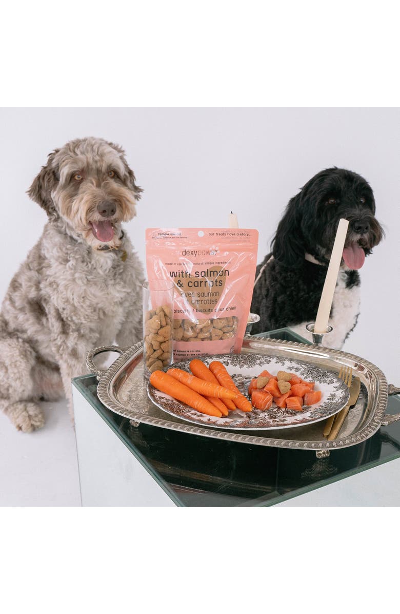 Dexypaws Salmon & Carrot Dog Biscuits 12oz All Natural Pet Treats, Alternate, color, Brown
