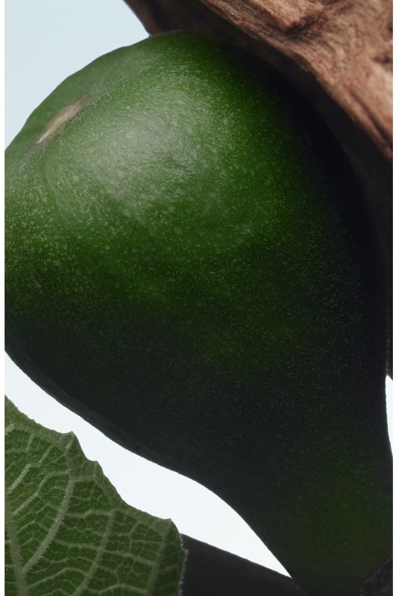 Santal Greenery Refillable Eau de Parfum, Alternate, color, NO COLOR