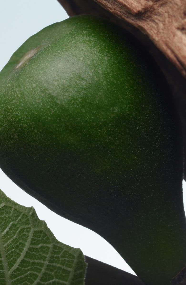 Dries Van Noten Santal Greenery Refillable Eau de Parfum, Alternate, color,