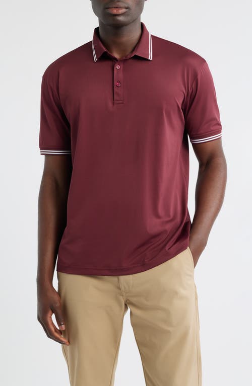 Swannies Thatcher Tipped Performance Polo In Burgundy
