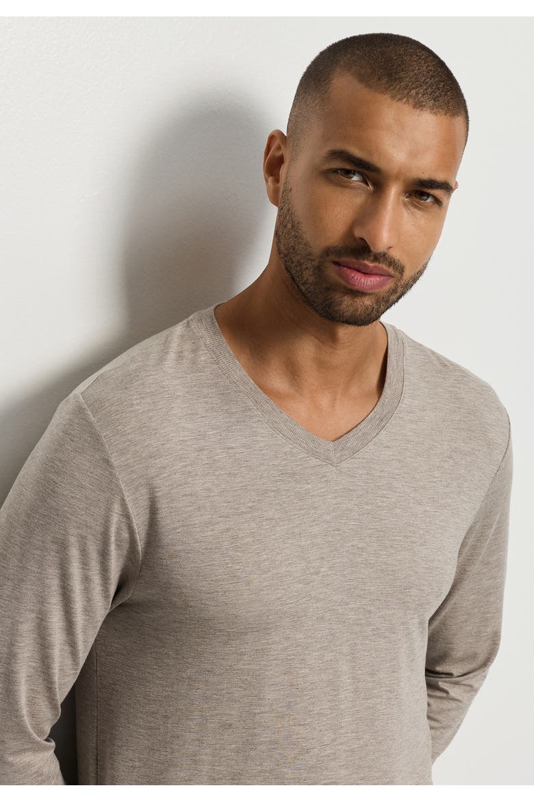 Casuals Long Sleeve V-Neck Top, Alternate, color, Hazelnut Melange