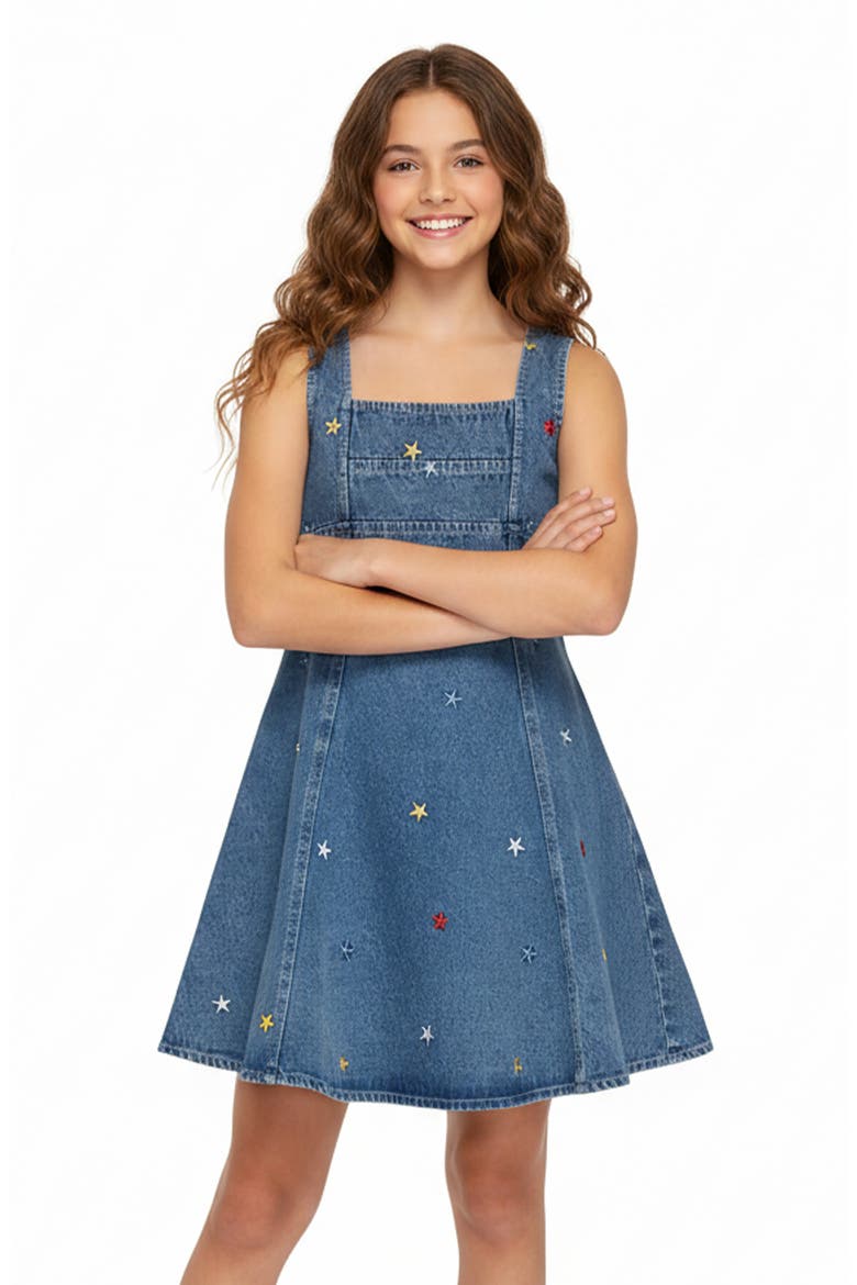 Kids' Embroidered Fit & Flare Dress, Alternate, color, BLUE MULTI