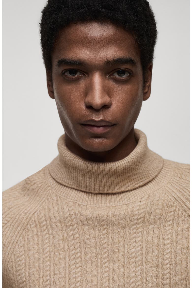 Turtleneck Cable Knit Sweater, Alternate, color, BEIGE