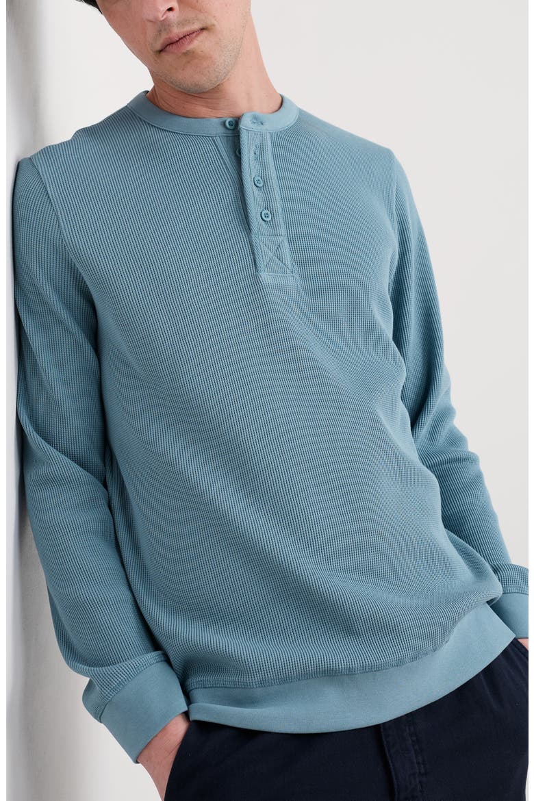 Brigantine Waffle Knit Organic Cotton Henley, Main, color, HYDRANGEA