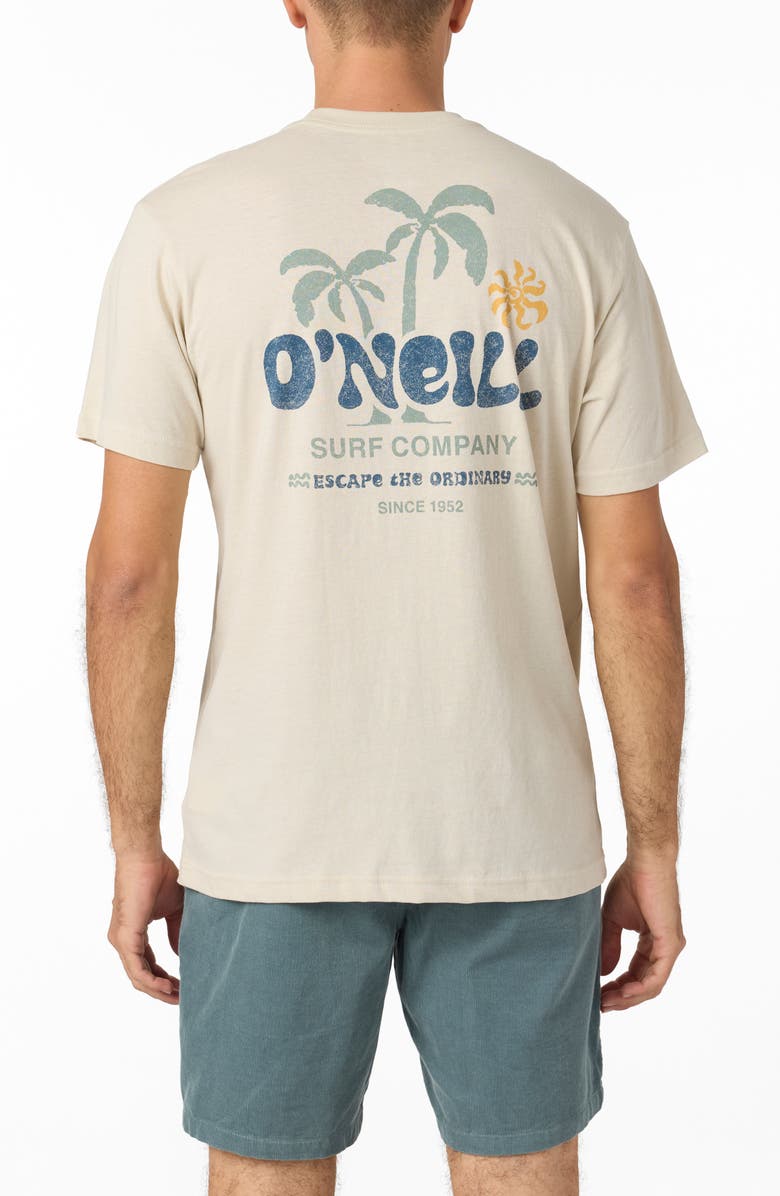 O'Neill Loose Graphic T-Shirt, Alternate, color, 