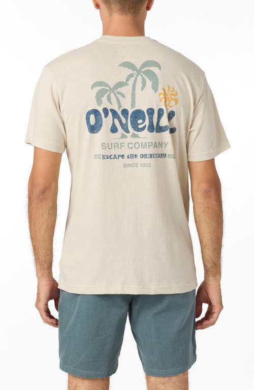 O'neill Loose Graphic T-shirt