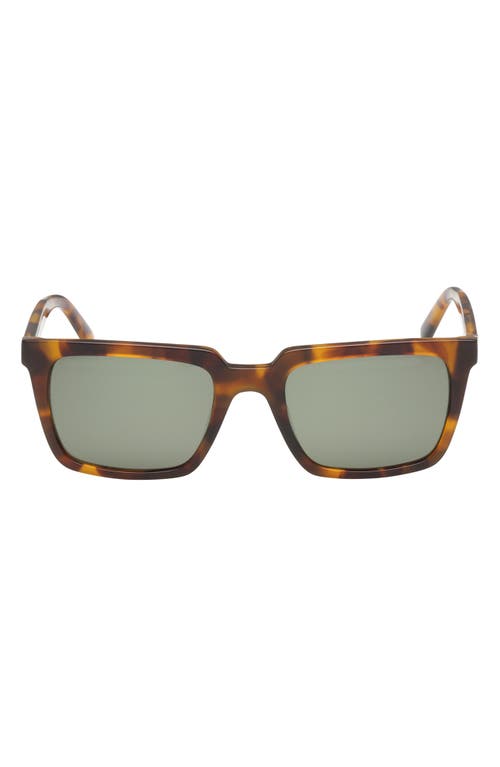 ABERCROMBIE & FITCH 52mm Rectangular Sunglasses in Dark Havana/green Lens at Nordstrom