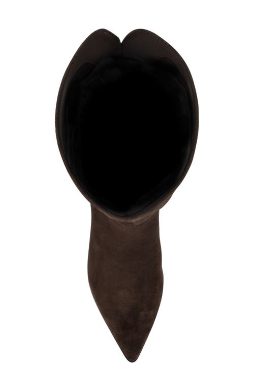 Nine West Morgin Pointed Toe Knee High Boot In Brown