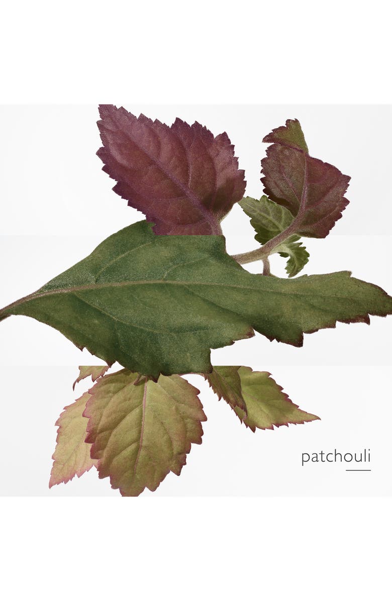 Hermès Elixir des Merveilles - Eau de parfum natural spray, Alternate, color, 