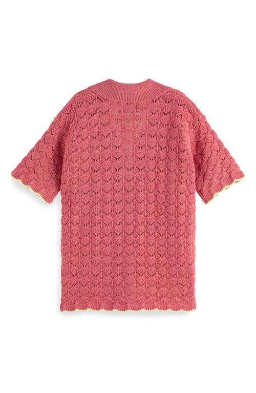 Scotch & Soda Kids' Scallop Pointelle Short Sleeve Polo Sweater In Rose Pink
