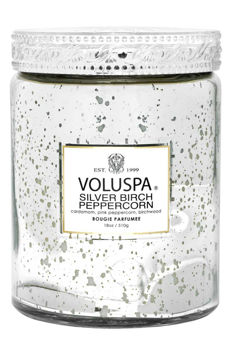 Voluspa Silver Birch & Peppercorn Large Jar Candle, Main, color, Silver Birch