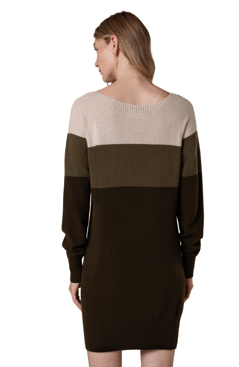 Celtic & Co. Supersoft Slouch Dress, Alternate, color, Khaki Colourblock