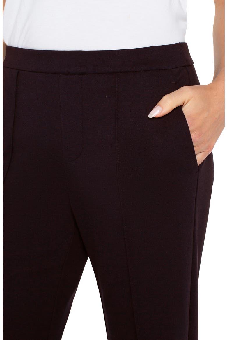 Kayla Wide Leg Pull-On Trousers, Alternate, color, BROWN TRUFFLE