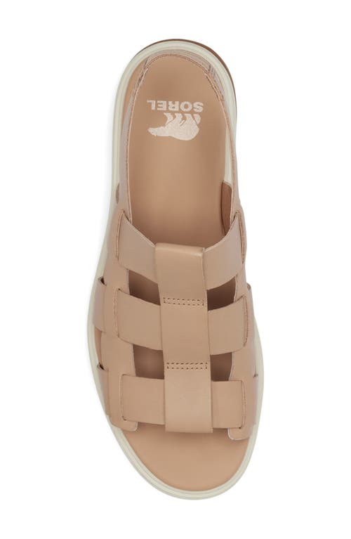 Sorel Dayspring Slingback Platform Sandal In Honest Beige/chalk
