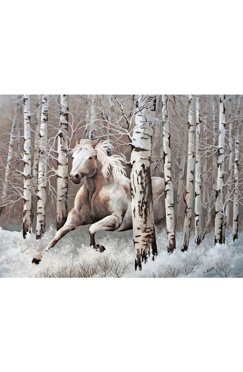 Sunsout Subtle Tones of Nature 500 piece Jigsaw Puzzle for Adults, Alternate, color, Multicolor