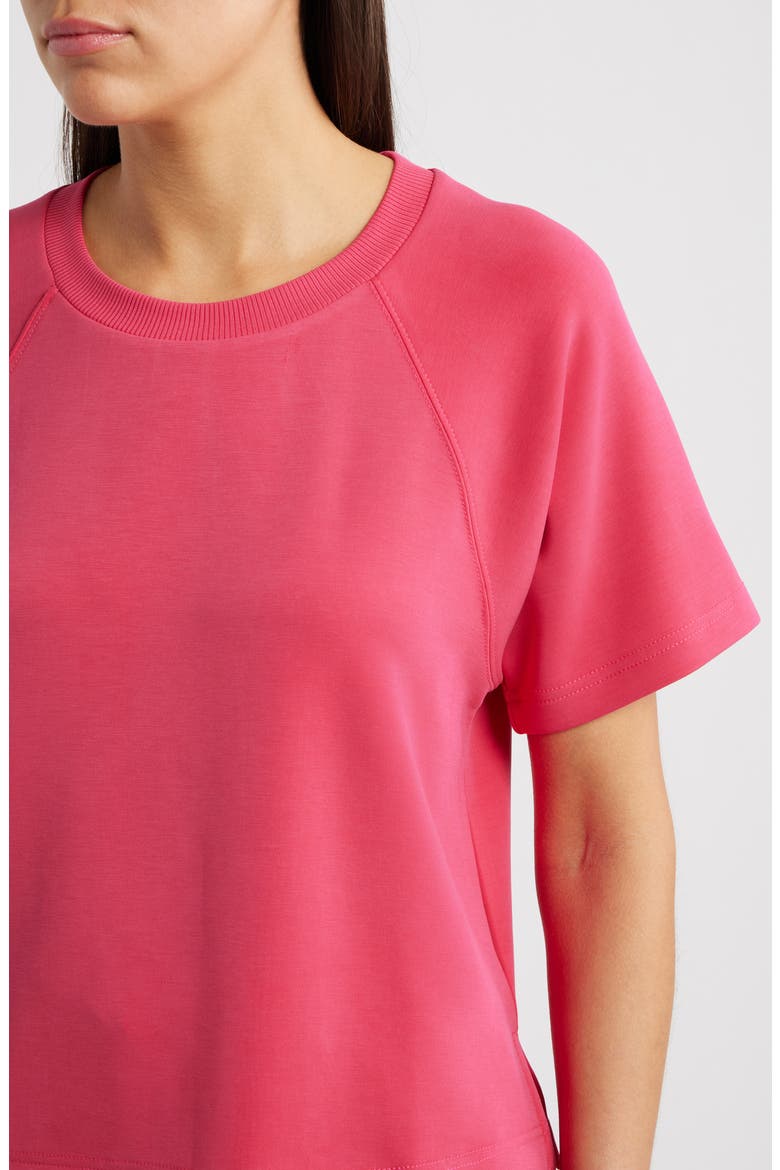 Raglan Sleeve T-Shirt, Alternate, color, BRIGHT ROSE