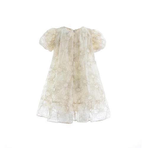 Sweet Cactus Laced Soleil Dress In White
