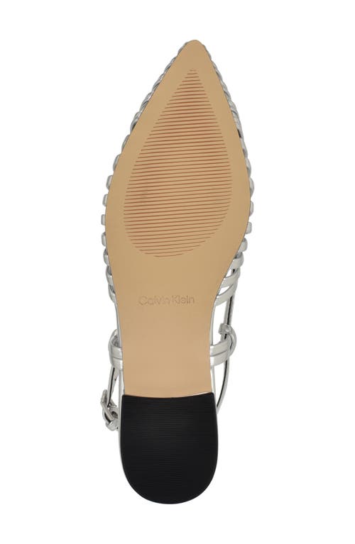 Calvin Klein Jillie Pointed Toe Flat