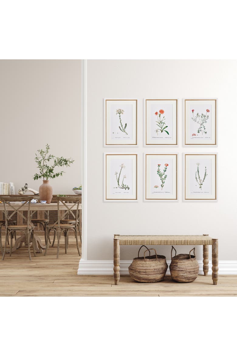Flower Studies In Shades Of Blush Framed Wall Art Set of 6, Alternate, color, Beige
