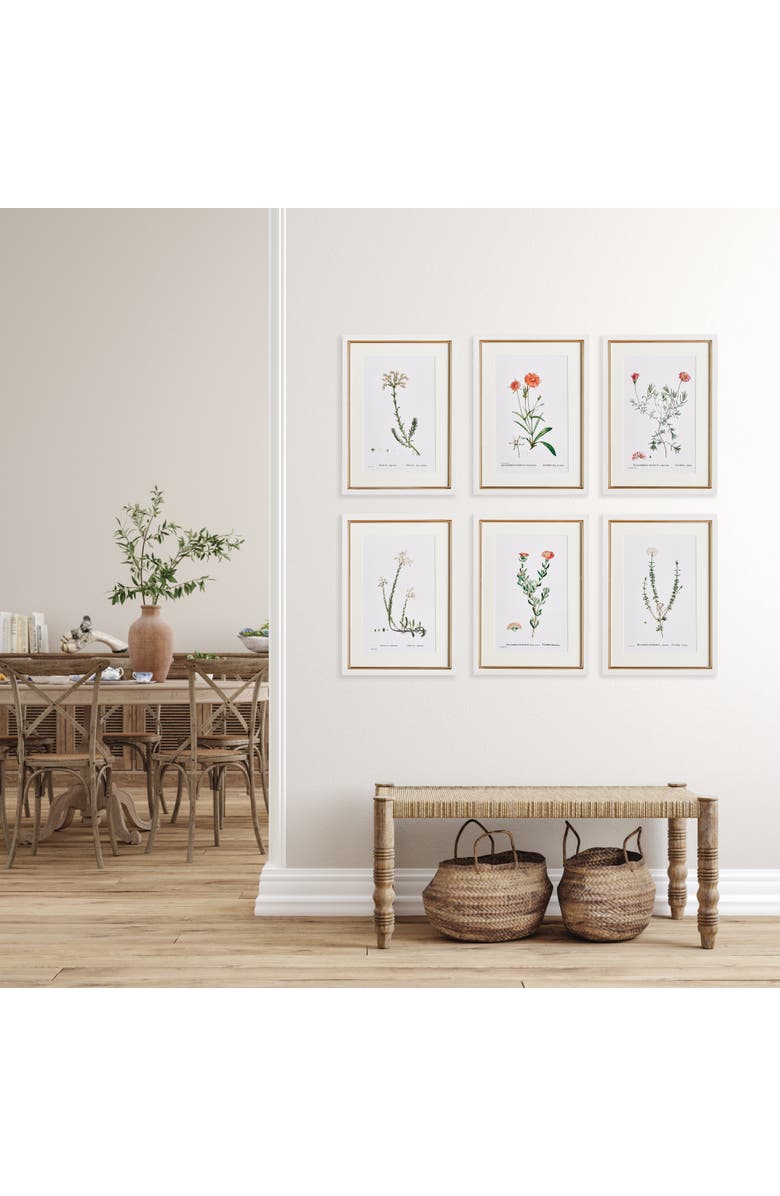 Napa Home & Garden Flower Studies In Shades Of Blush Framed Wall Art Set of 6, Alternate, color, Beige