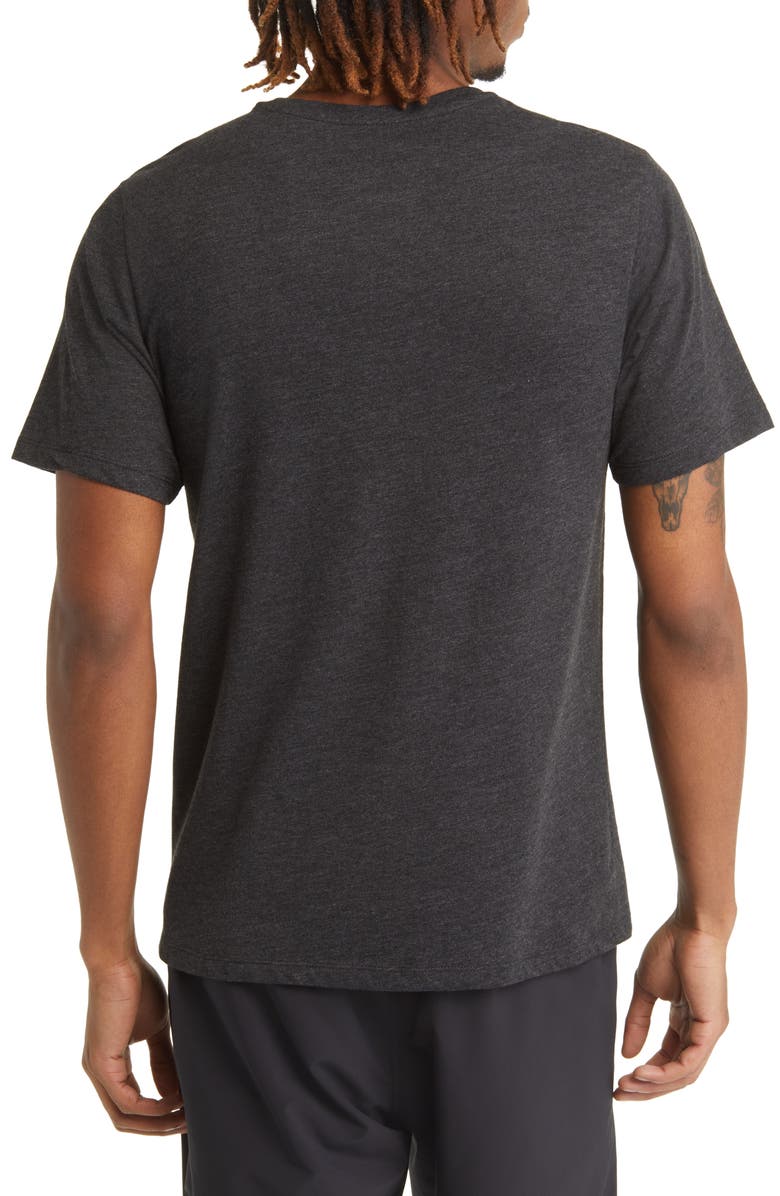 Swannies Tiger Goat Graphic Tee, Alternate, color, 