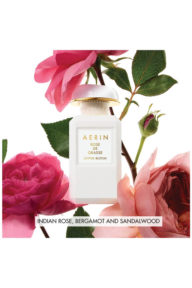 AERIN Rose Collection Set $232 Value, Alternate, color, NO COLOR