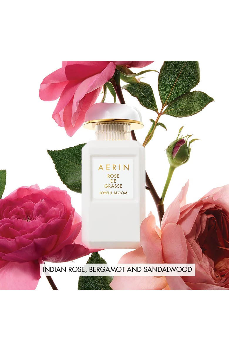 Estée Lauder AERIN Rose Collection Set $232 Value, Alternate, color, 