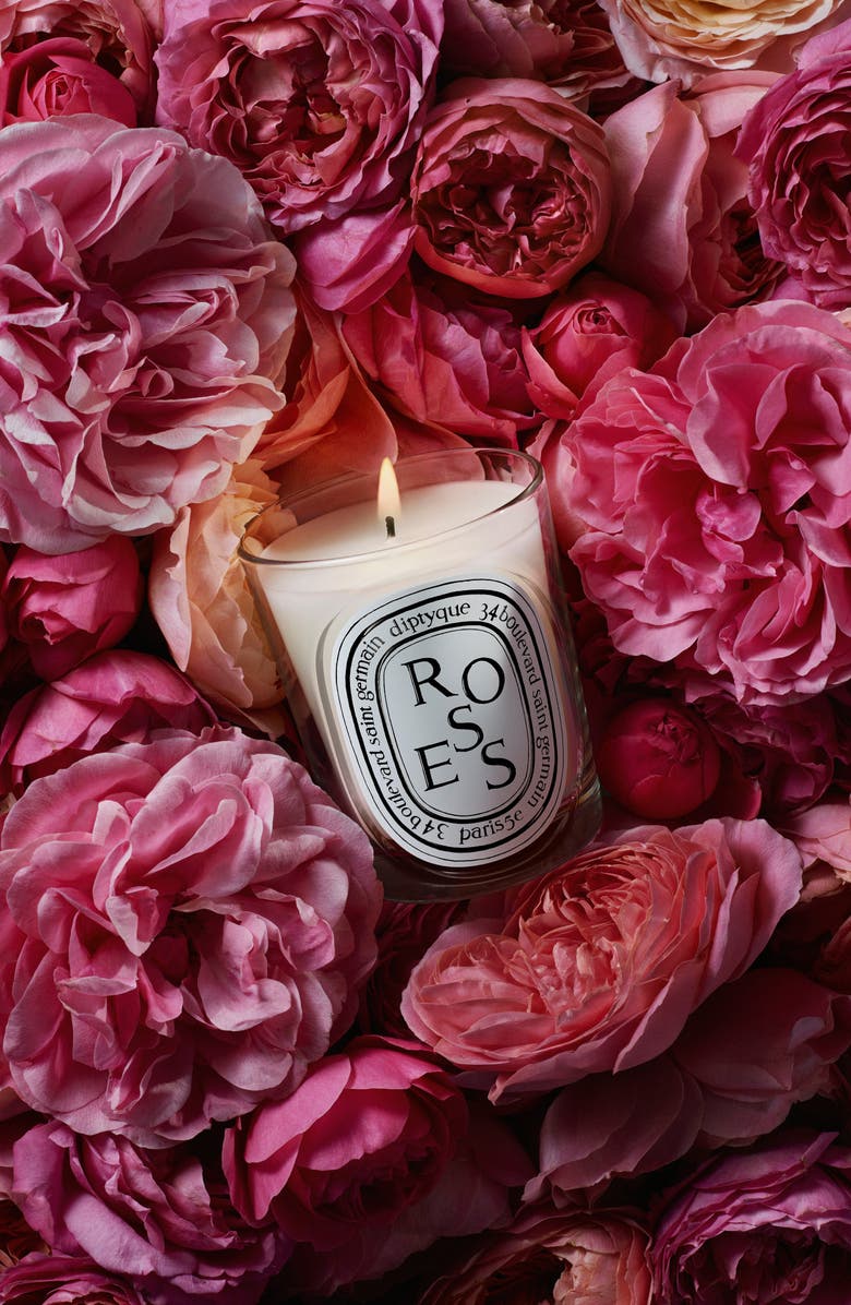 Diptyque Roses Classic Candle, Alternate, color, 