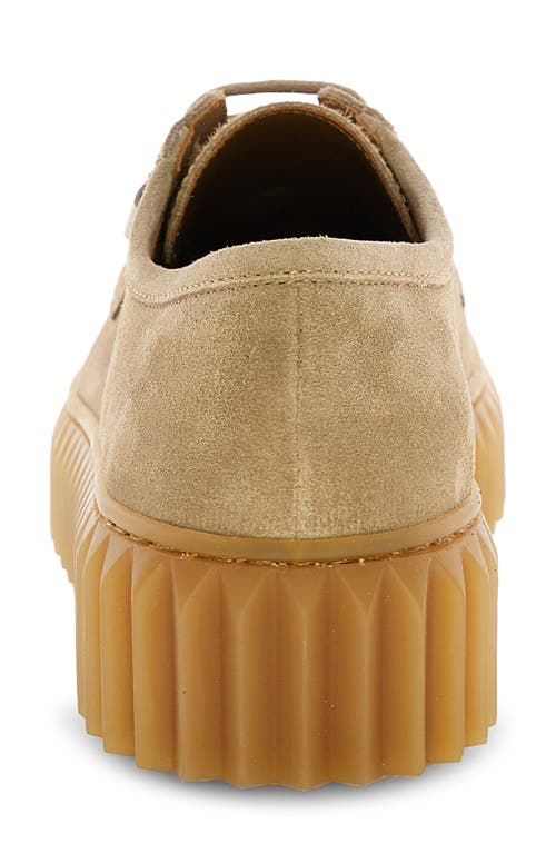 Voile Blanche Londoner Genuine Calf Hair Platform Derby In Brown