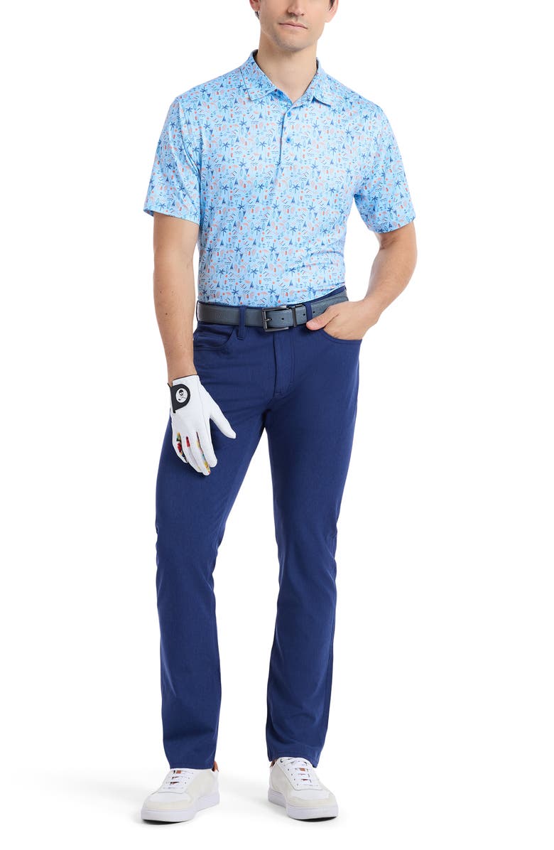 Robert Graham Coastal Vibes Knit Polo, Alternate, color, Light Blue