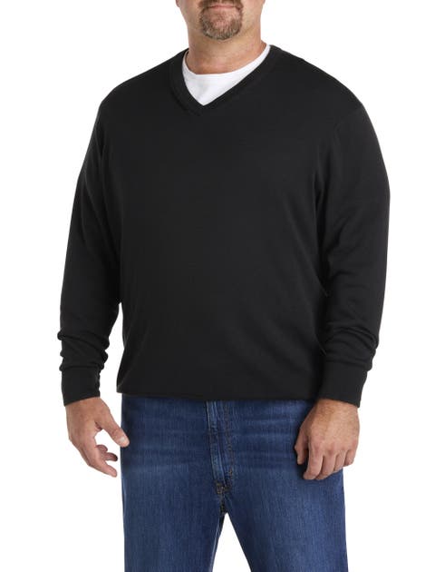 Big & Tall V-Neck Pullover