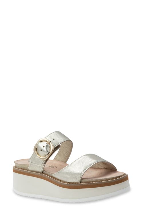 Naot Crepe Platform Shoes In Radiant Gold In Rdnt Gld Leather W/offwhite