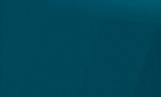 selected TEAL