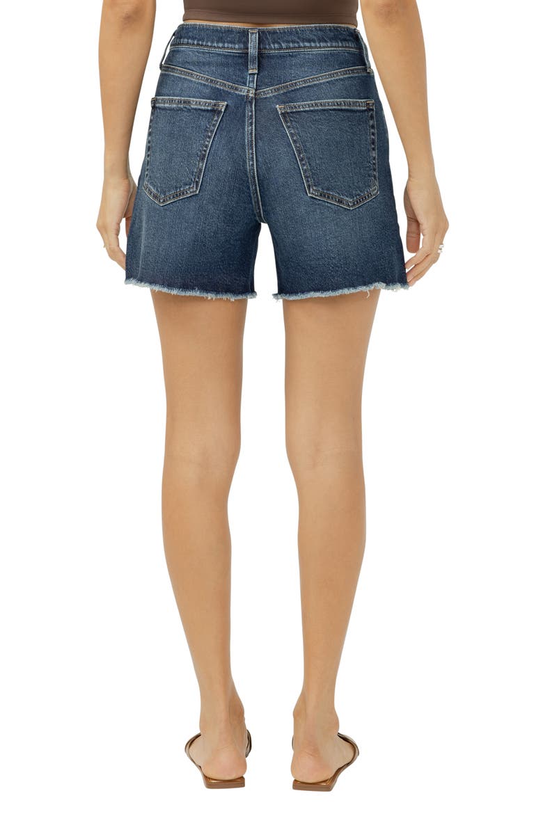 Highly Desirable Denim Shorts, Alternate, color, PIMLICO
