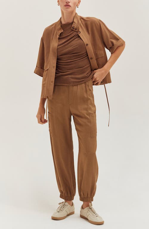 Crescent Lightweight Cargo Jogger Pants In Brown