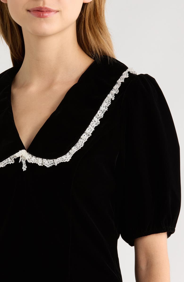 All in Favor Velvet Embroidered Peter Pan Collar Crop Top, Alternate, color, Black