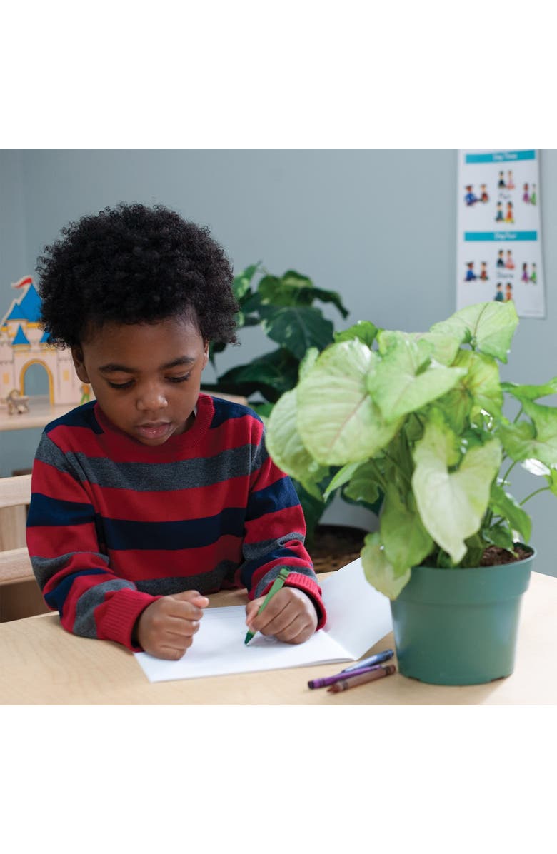 Kaplan Early Learning Company Standard Crayons Class Pack - 800 Per Box, Alternate, color, Multicolored