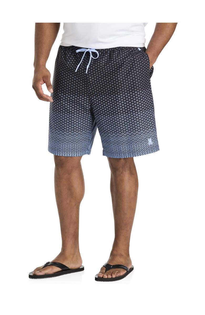 Psycho Bunny Big & Tall Bendigo Patterned Swim Trunks, Main, color, Evening Blue