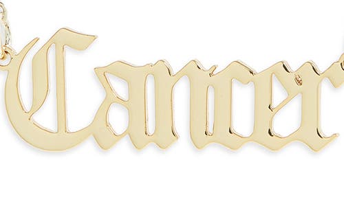 The Sis Kiss Zodiac Pendant Necklace In Gold