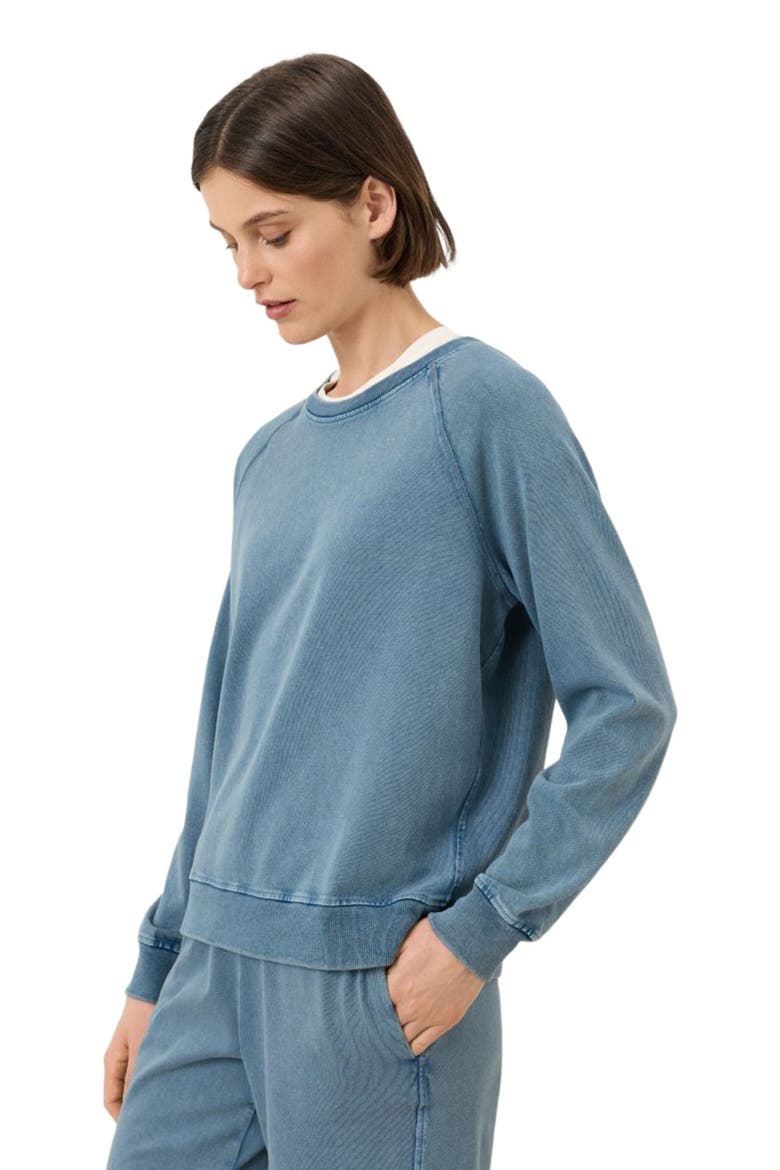 Organic Cotton Weekends Relaxed Raglan Sweatshirt, Alternate, color, Washed Wedgewood Blue