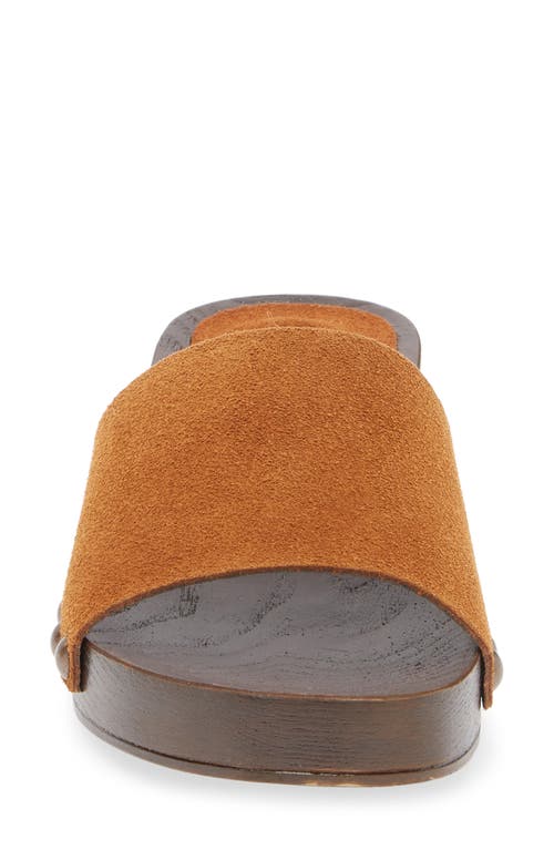 Steve Madden Cento Sandal In Brown