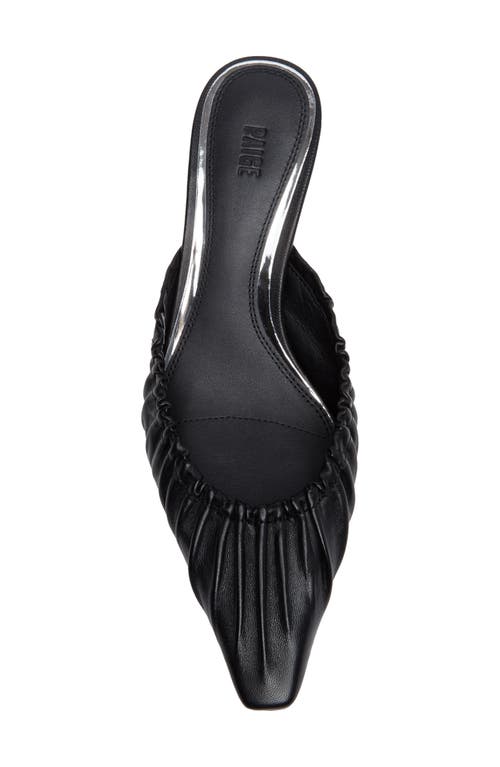Paige Alice Mule