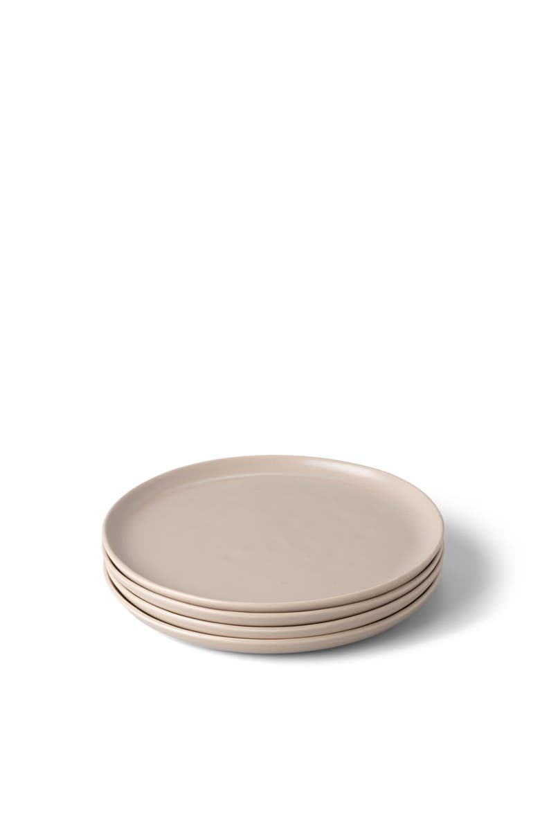 Fable Home Salad Plates, Main, color, Desert Taupe