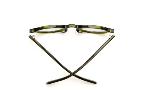 Caddis Dogleg | Reading Glasses