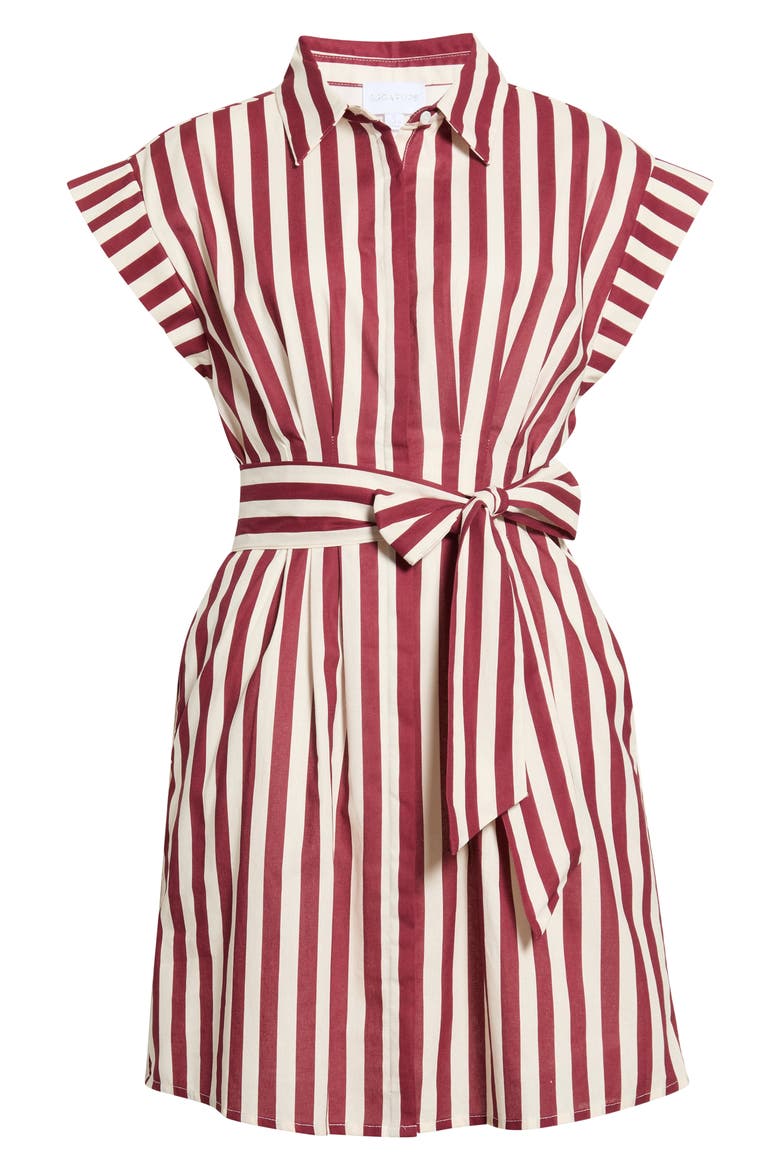 Samera Stripe Cotton Minidress, Main, color, BURGUNDY