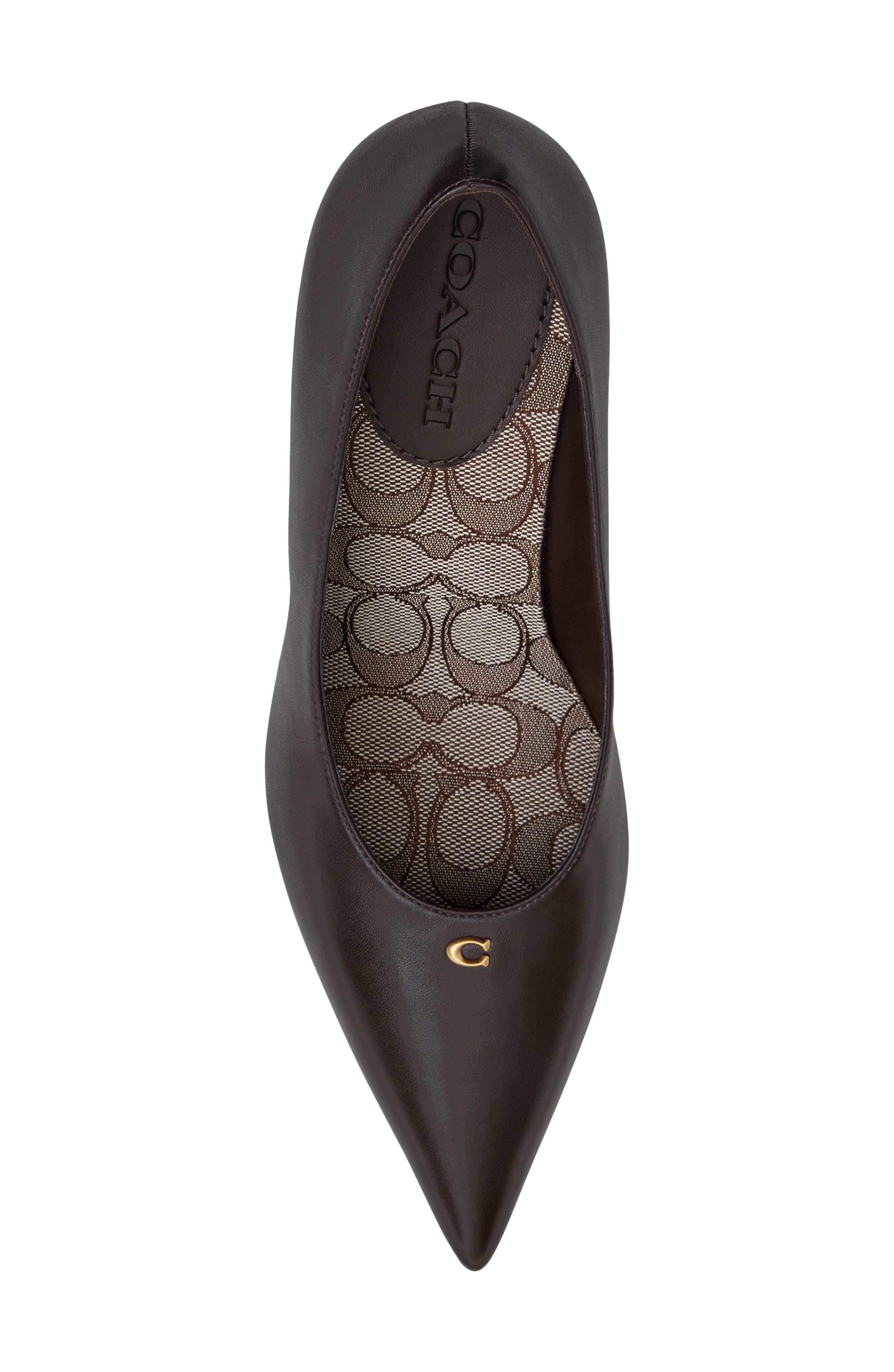 Daisy Pointed Toe Pump, Alternate, color, CHOCOLATE
