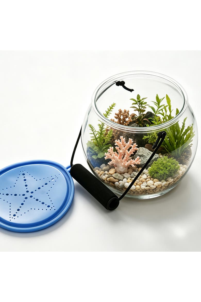 Observation Aquarium, Alternate, color, Multicolored
