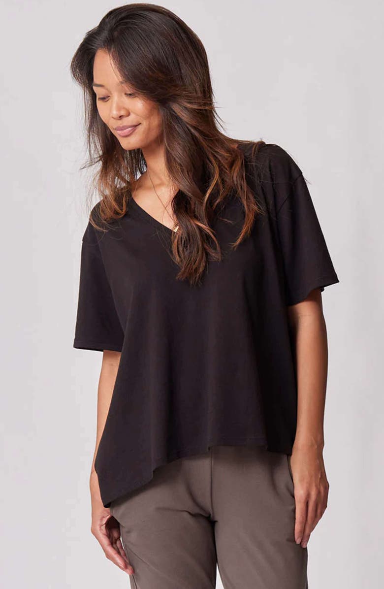 Of an Origin Everywhere Nursing & Maternity V-Neck Tee  The Bold Collection, Main, color, 