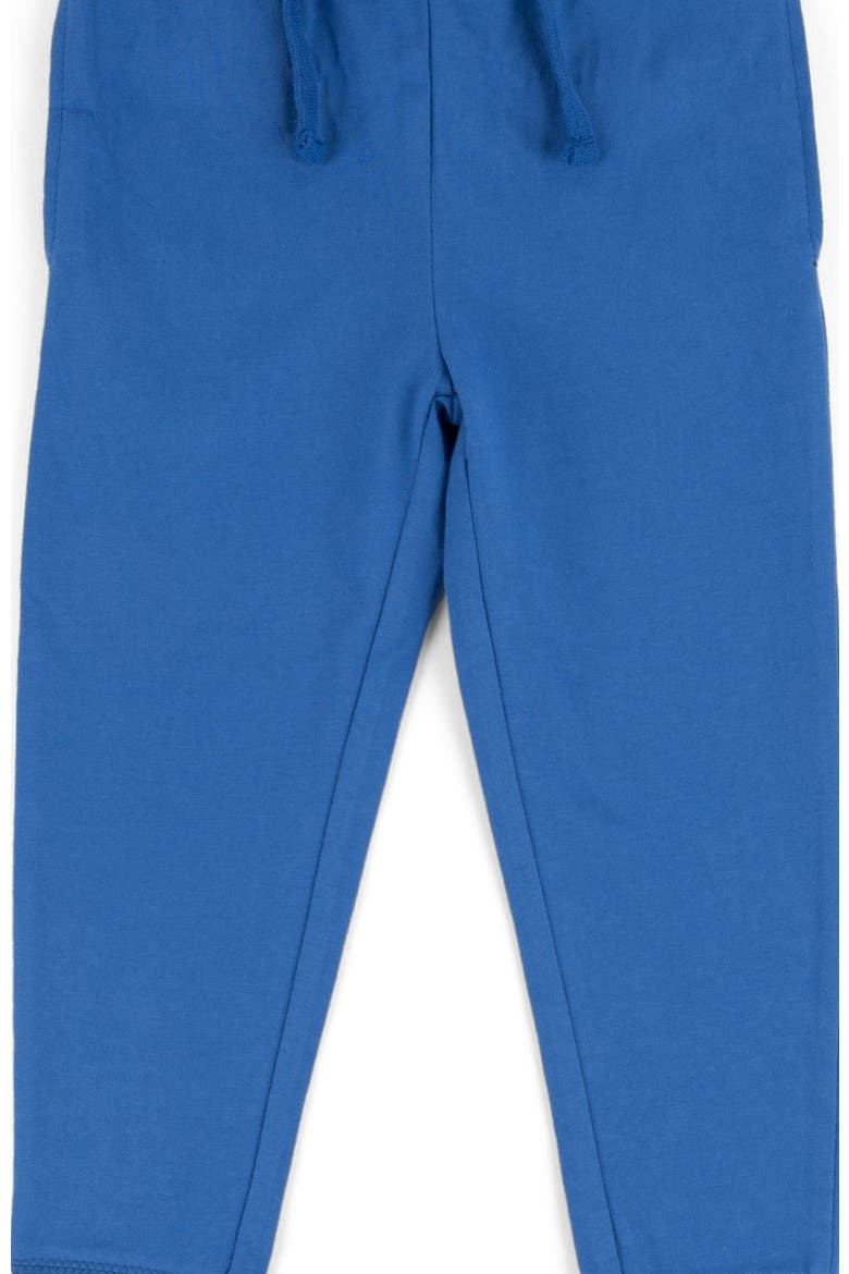 Kids 100% Cotton Lightweight Jogger Pants, Main, color, ROYAL BLUE