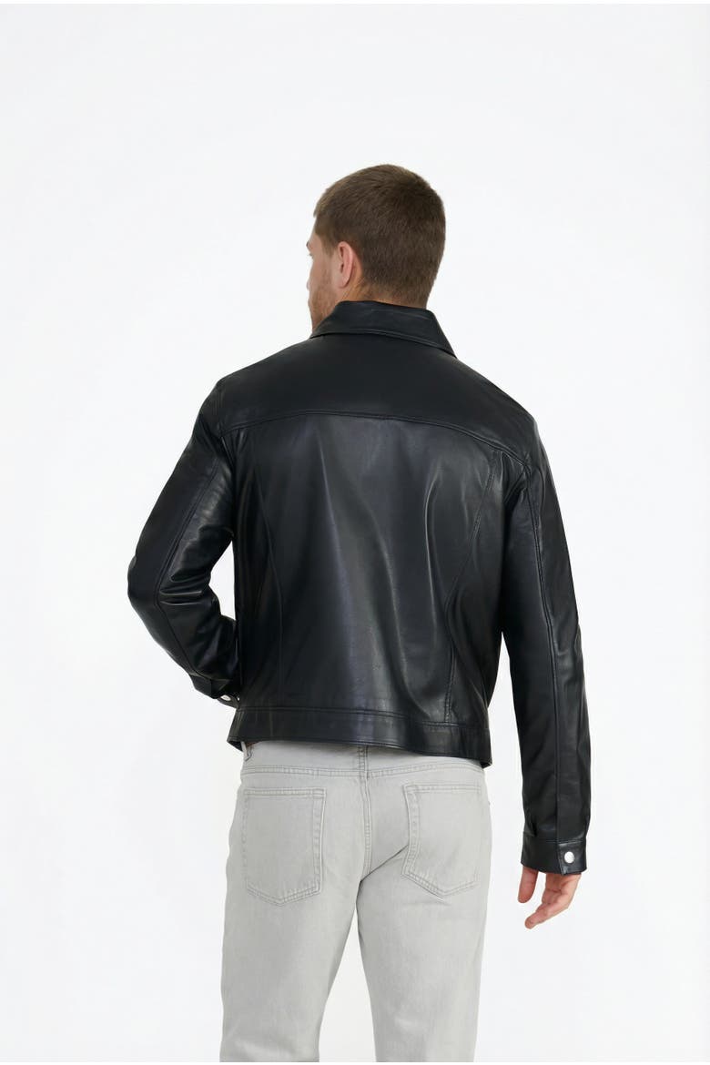 Lennox Nappa Leather Jacket, Alternate, color, Black